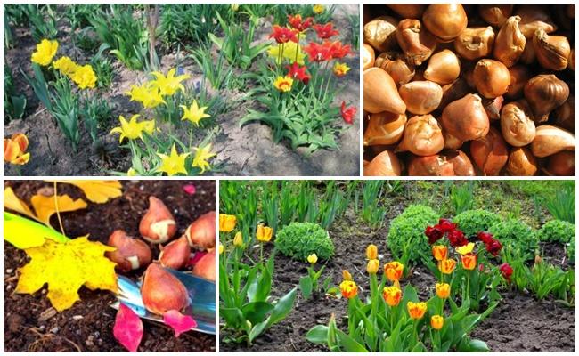 Isolation pour l'hiver