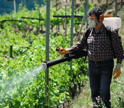 การฉีดพ่นบริเวณบาดแผล