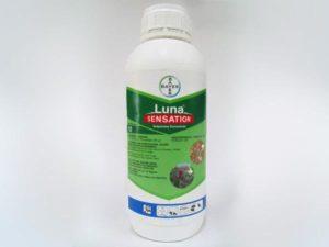 Mode d'emploi et composition du fongicide Luna Tranquility, doses d'application