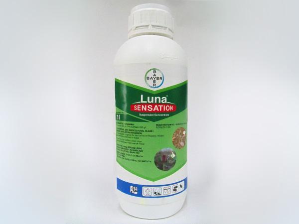 สารฆ่าเชื้อรามูน เทรนคัลลิตี้