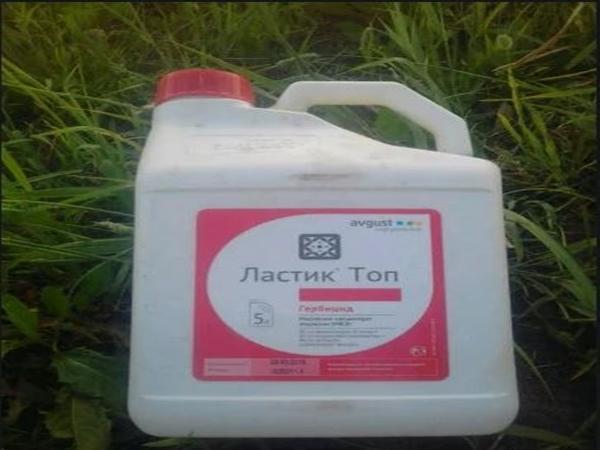 Médicament « LastikTop »