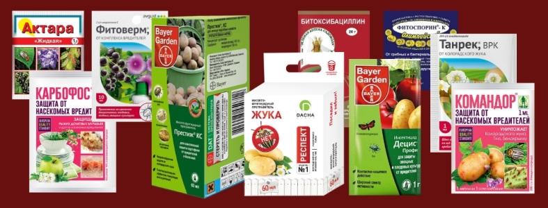 ยาต่างๆ