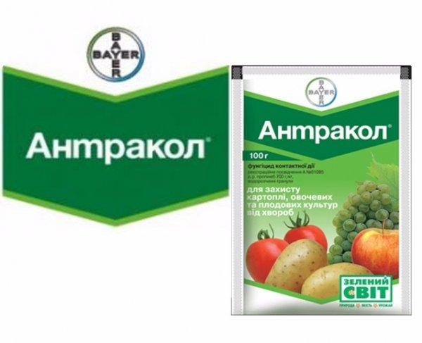 8. Disponible pour les consommateurs en raison de son prix bas.