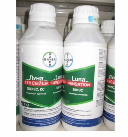 สารฆ่าเชื้อรามูน เทรนคัลลิตี้