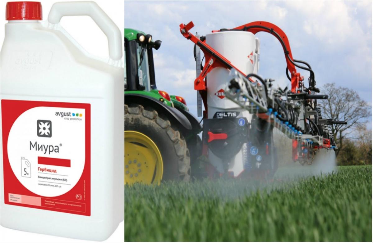 Herbicide Miura