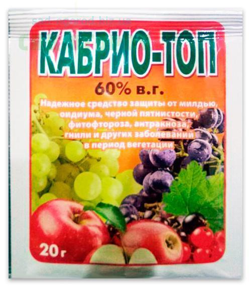 รายชื่อสารป้องกันเชื้อราสำหรับองุ่น 16 อันดับแรกพร้อมคำแนะนำในการใช้