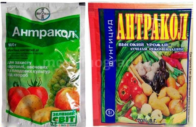 รายชื่อสารป้องกันเชื้อราสำหรับองุ่น 16 อันดับแรกพร้อมคำแนะนำในการใช้