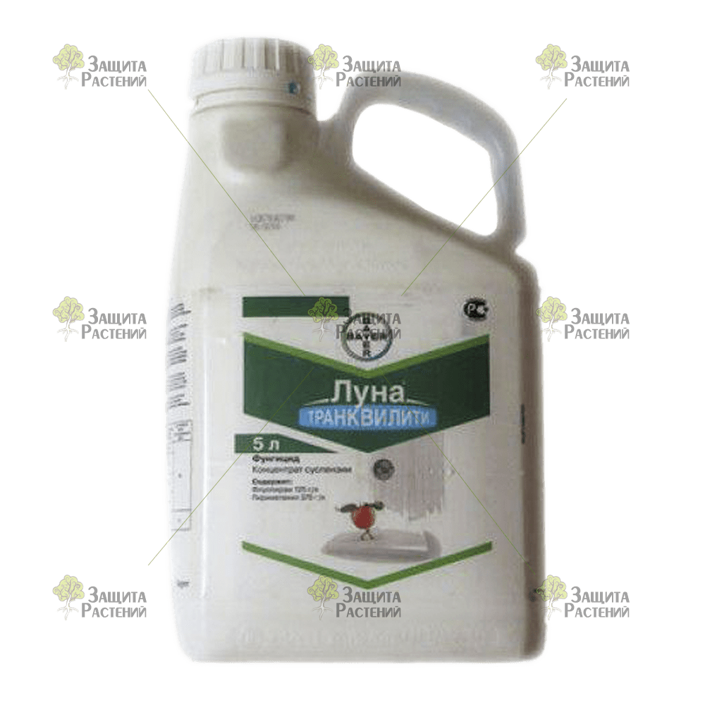 สารฆ่าเชื้อรามูน เทรนคัลลิตี้