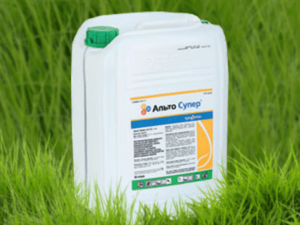 คำแนะนำการใช้และส่วนประกอบของสารป้องกันเชื้อรา Alto Super อัตราการใช้