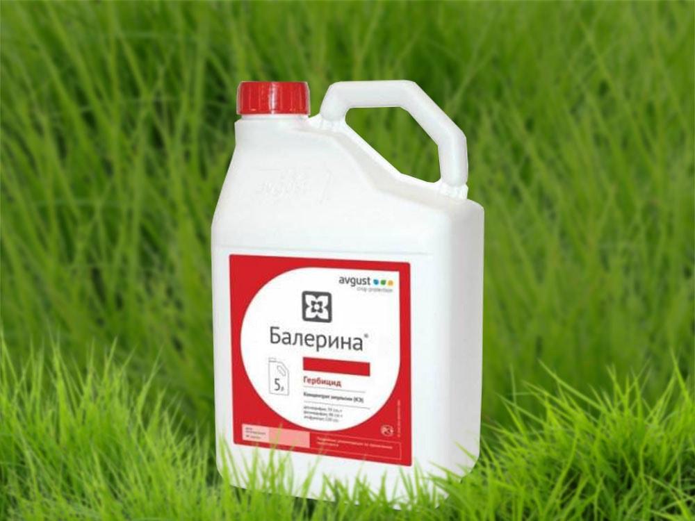 herbicide ballerine