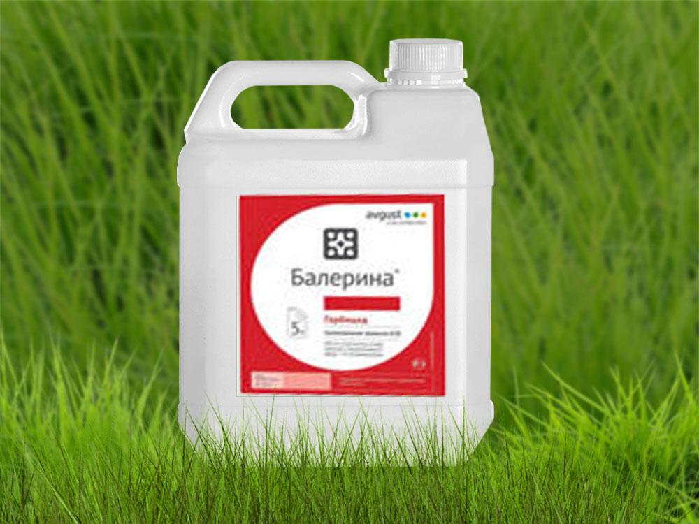 herbicide ballerine