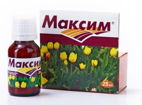 สารฆ่าเชื้อราแม็กซิม