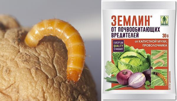 คำแนะนำของเซมลิน