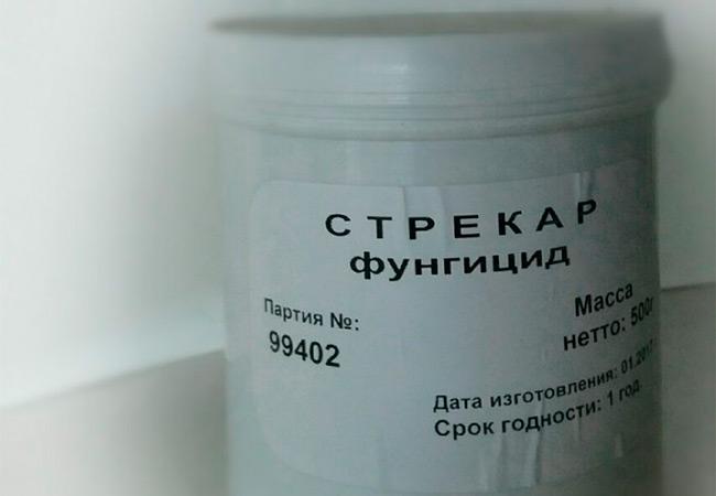 fongicide Strekar