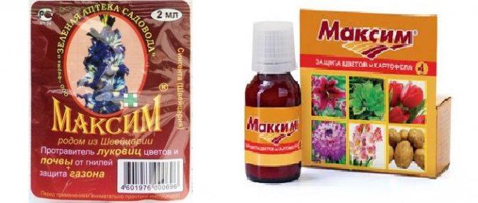 สารฆ่าเชื้อราแม็กซิม