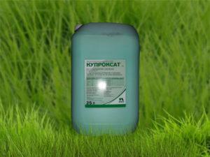 คำแนะนำในการใช้และการผสมสารป้องกันเชื้อรา Kuproksat อัตราการใช้