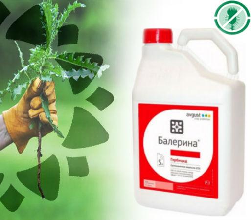 herbicide ballerine