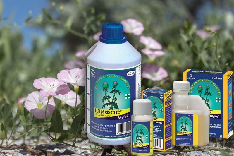 คำแนะนำการใช้กำจัดวัชพืชด้วยไกลฟอส