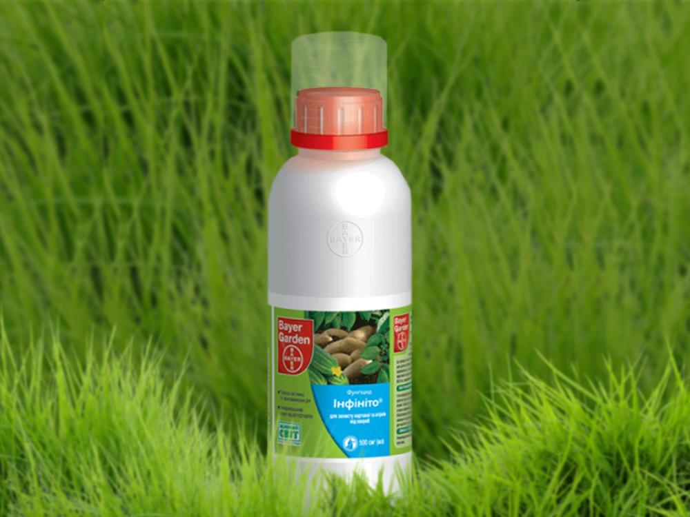 fongicide « Infinito »