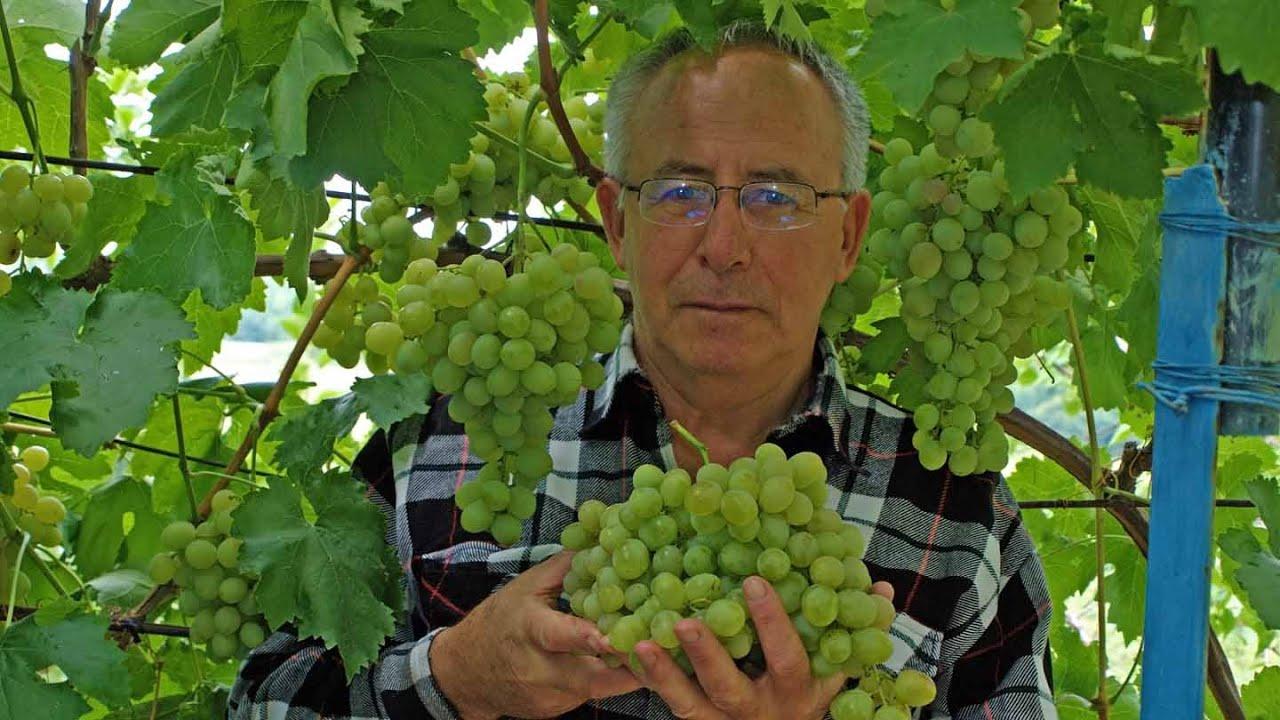 น้ำสีฟ้าใส