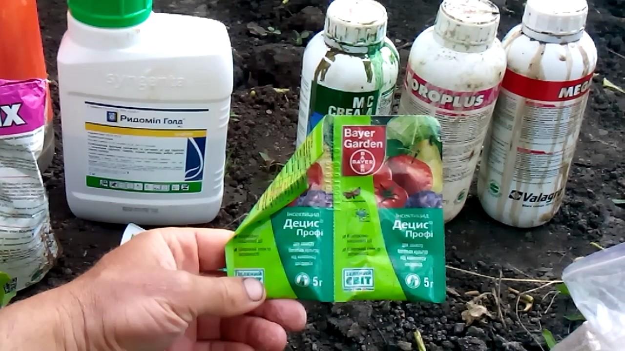 ยาต่างๆ