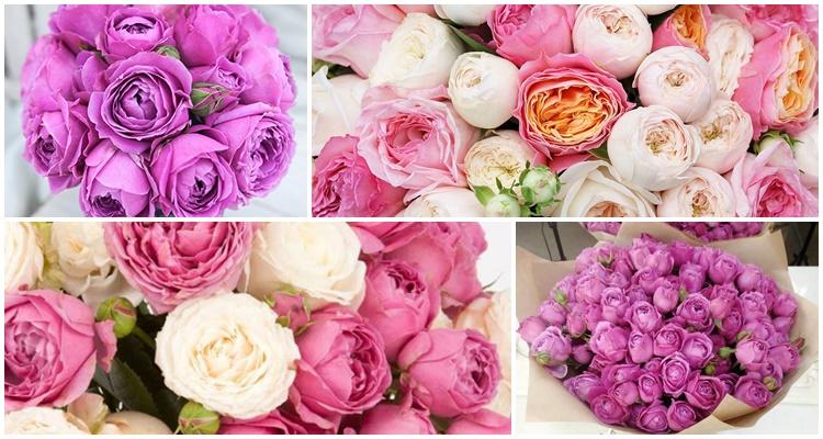 ดอกกุหลาบดอกโบตั๋น