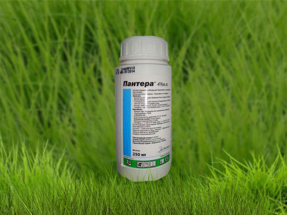 ยาเสือดำ