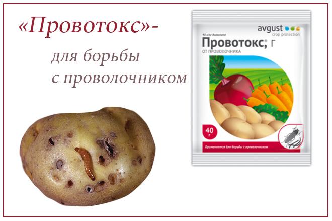 "Provotox"; การเตรียม