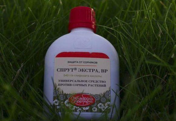 สารกำจัดวัชพืช Octopus Extra: วิธีใช้