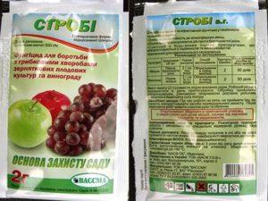 ส่วนประกอบและคำแนะนำสำหรับการใช้สารฆ่าเชื้อรา Strobi ขนาดยาและสารที่คล้ายกัน