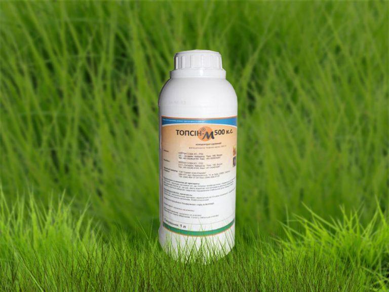 Mode d'emploi du fongicide Topsin M