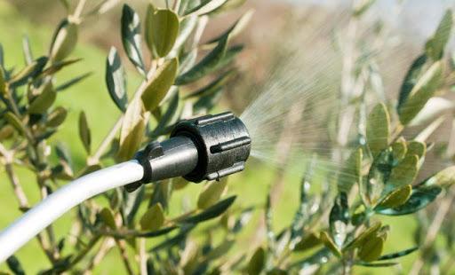 การฉีดพ่นดอกไม้