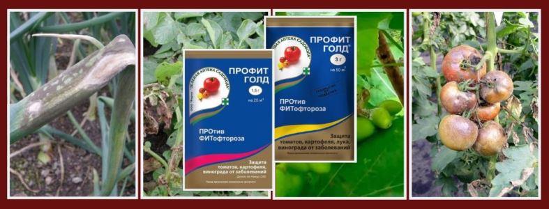 สารฆ่าเชื้อราทองคำกำไร