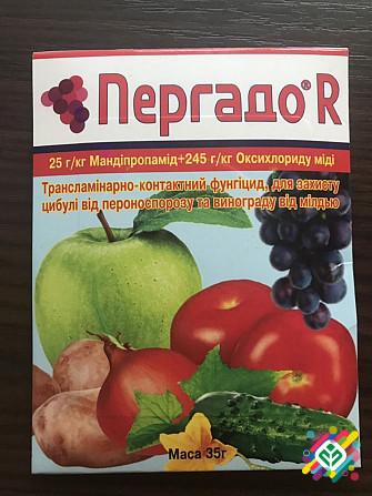 การเตรียมผัก