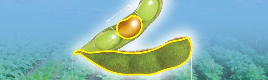 สารกำจัดวัชพืชพัลซาร์