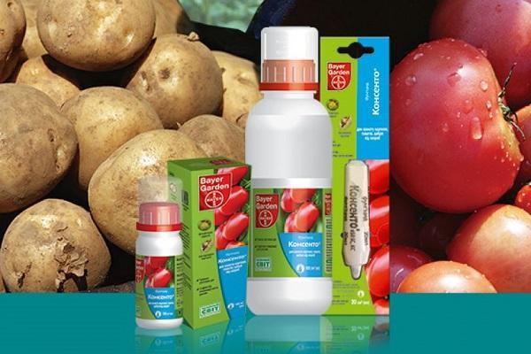 สารฆ่าเชื้อรา