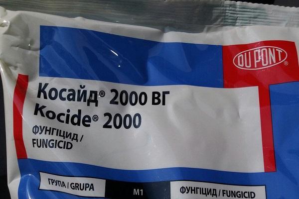 Mode d'emploi du fongicide Coside