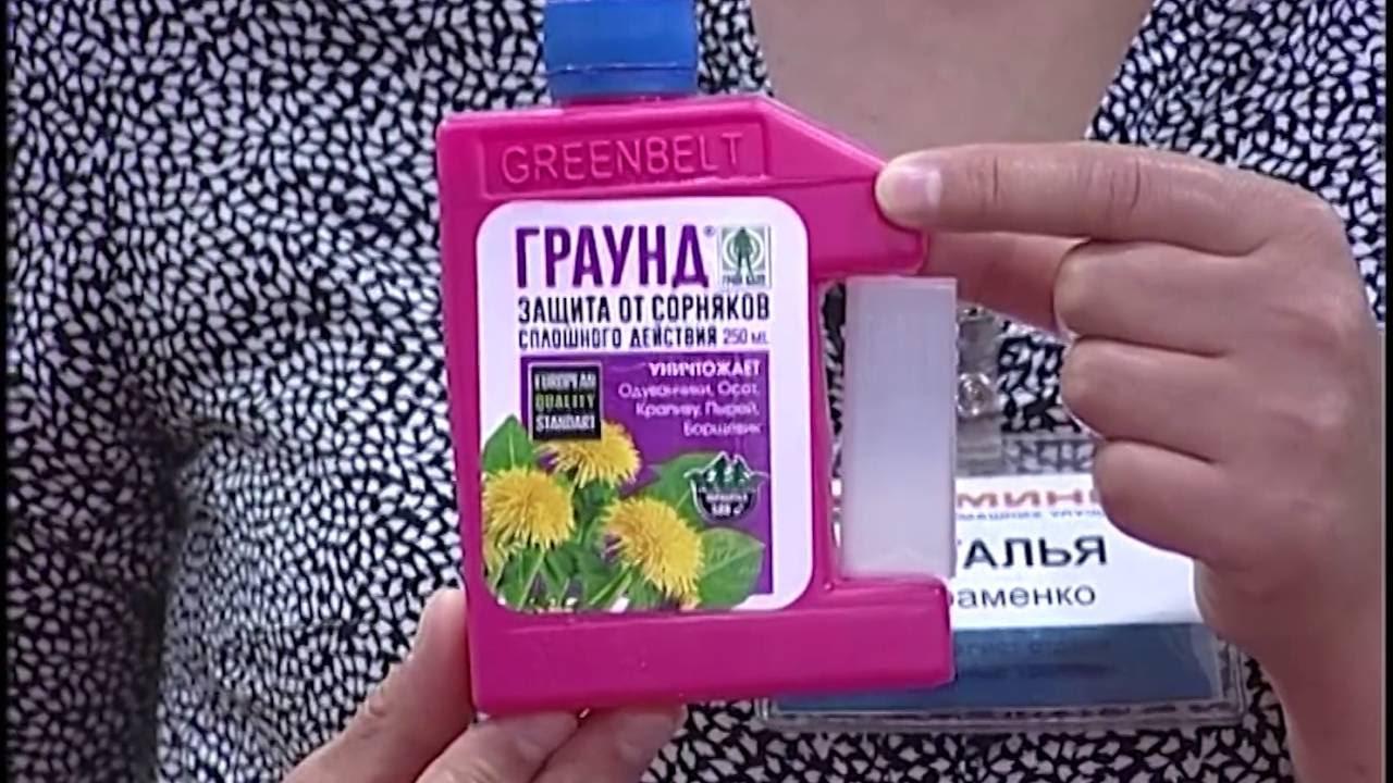 การควบคุมวัชพืช