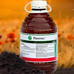 ส่วนประกอบและคำแนะนำในการใช้สารกำจัดวัชพืชพัลลัส อัตราการใช้และสารที่คล้ายกัน