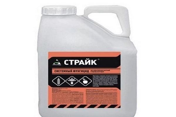 สารฆ่าเชื้อรา Strike Forte