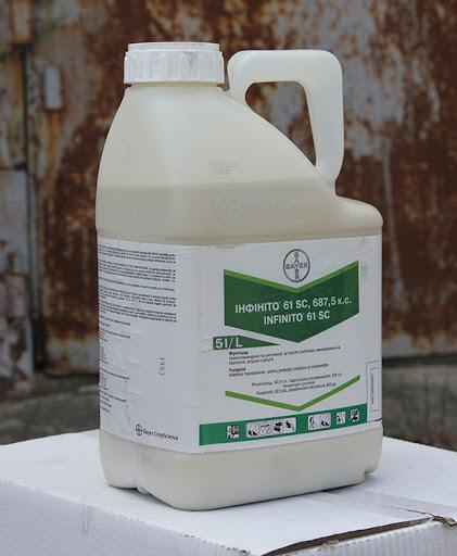 ยา "อินฟินิโต"