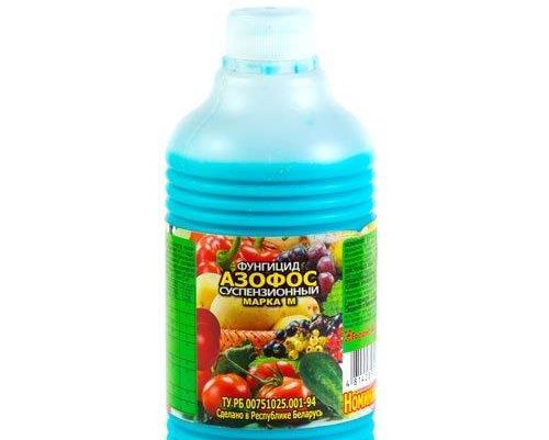 préparation de la solution