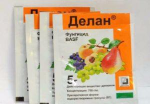 คำแนะนำในการใช้และการผสมสารฆ่าเชื้อรา Delan อัตราการใช้และสารประกอบที่คล้ายกัน