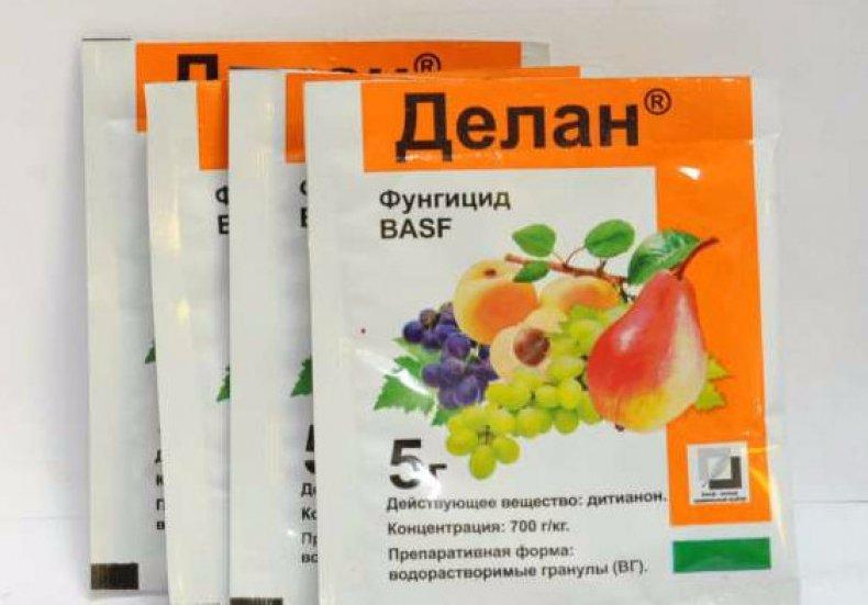 สารฆ่าเชื้อราที่ทำ