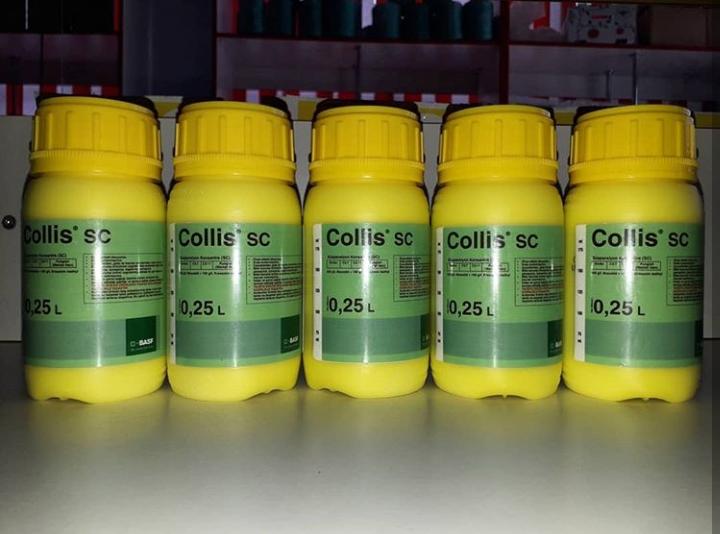 ยาโคลิส