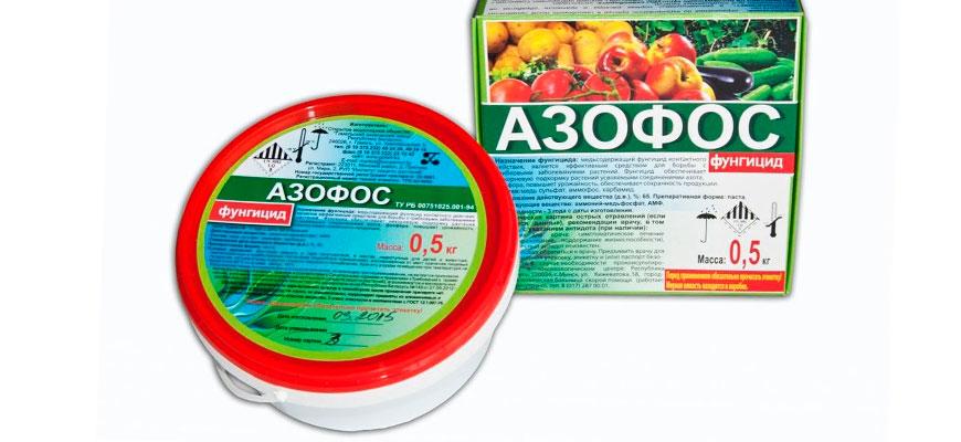 préparation de la solution