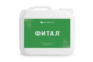 Mode d'emploi et composition du fongicide Fital, doses d'application et analogues