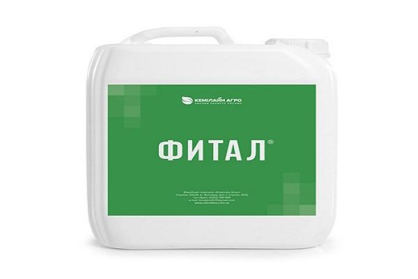 instructions sur le fongicide phytal