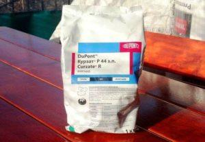 คำแนะนำในการใช้และการผสมสารป้องกันเชื้อรา Kurzat อัตราการใช้และสารประกอบที่คล้ายกัน