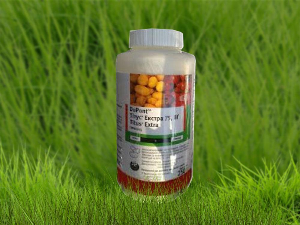 médicament dans une bouteille